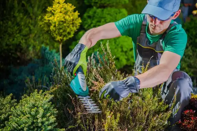 landscaping services Elmsford